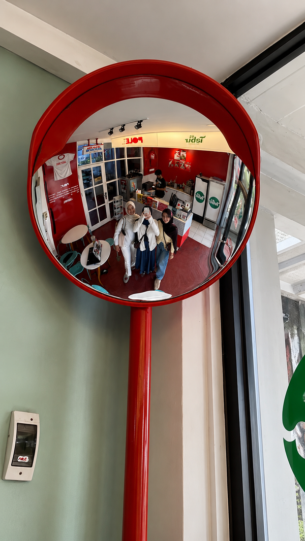 STASHED WIDE ANGLE MIRROR - THE OUTDOOR